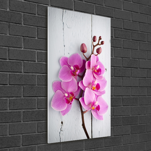 Print on acrylic Pink orchid