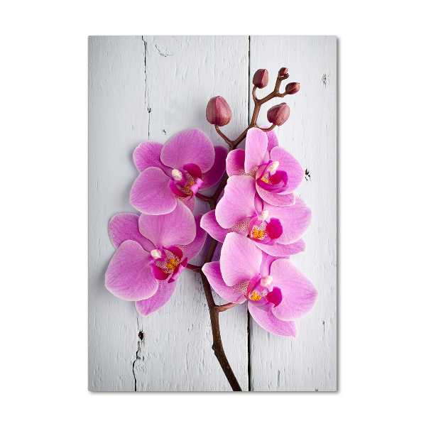 Print on acrylic Pink orchid