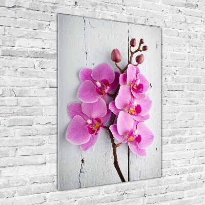 Print on acrylic Pink orchid