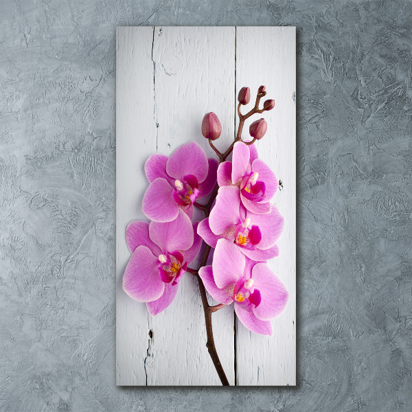 Print on acrylic Pink orchid