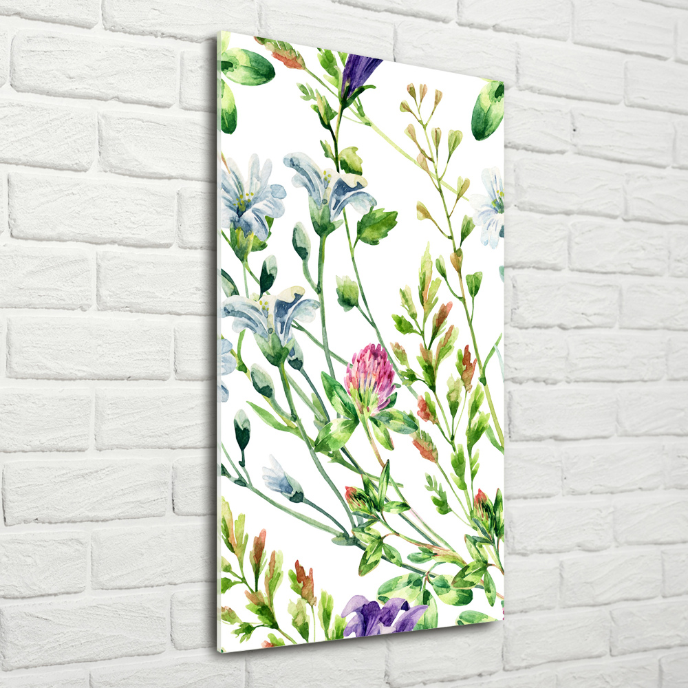 Acrylic print Field flowers