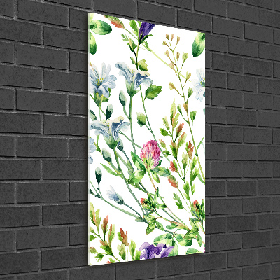 Acrylic print Field flowers