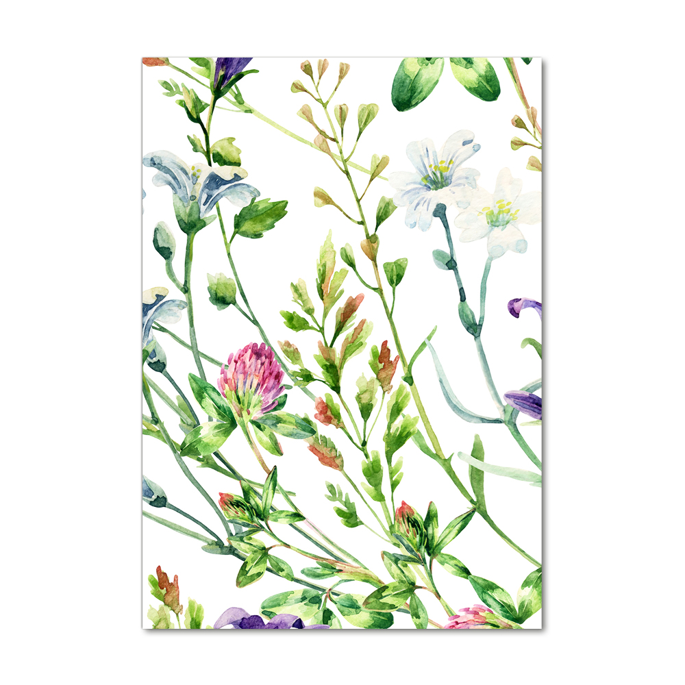 Acrylic print Field flowers