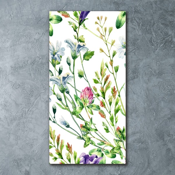 Acrylic print Field flowers