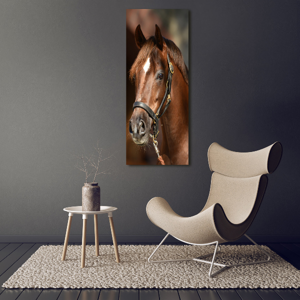 Print on acrylic Portrait of a horse