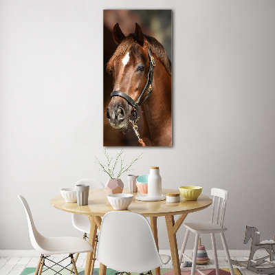 Print on acrylic Portrait of a horse