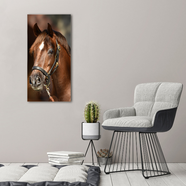 Print on acrylic Portrait of a horse