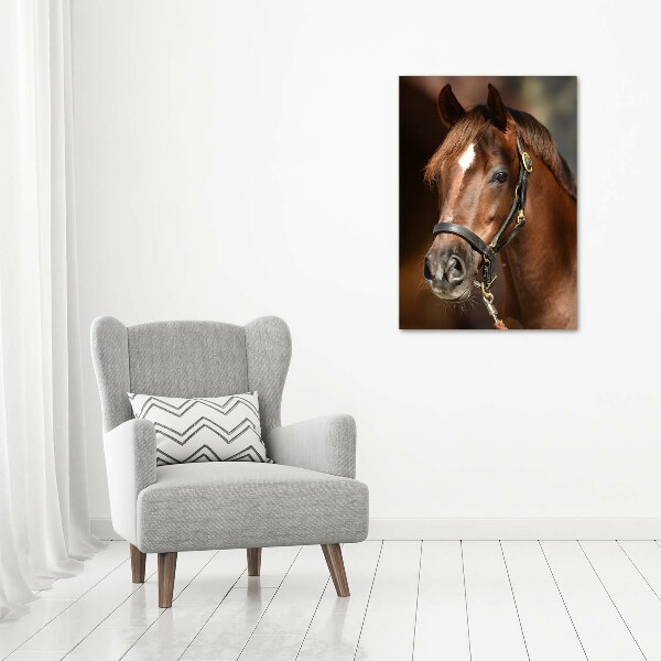 Print on acrylic Portrait of a horse