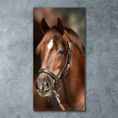 Print on acrylic Portrait of a horse