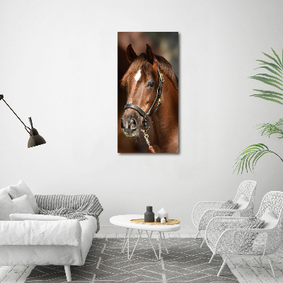 Print on acrylic Portrait of a horse