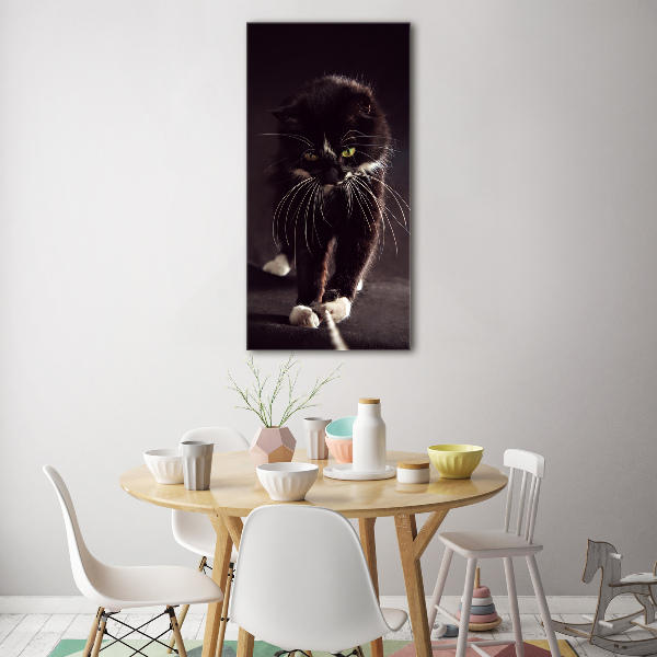 Print on acrylic Black cat