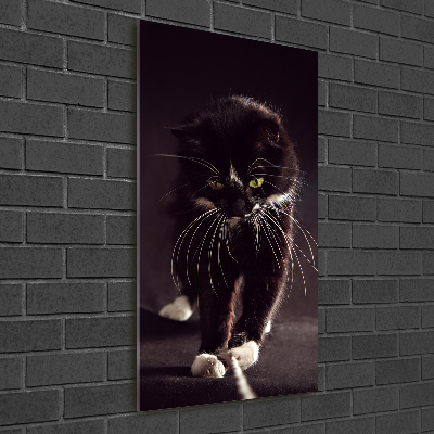 Print on acrylic Black cat