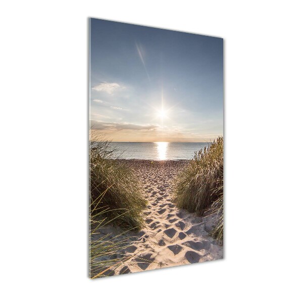 Coastal dunes
