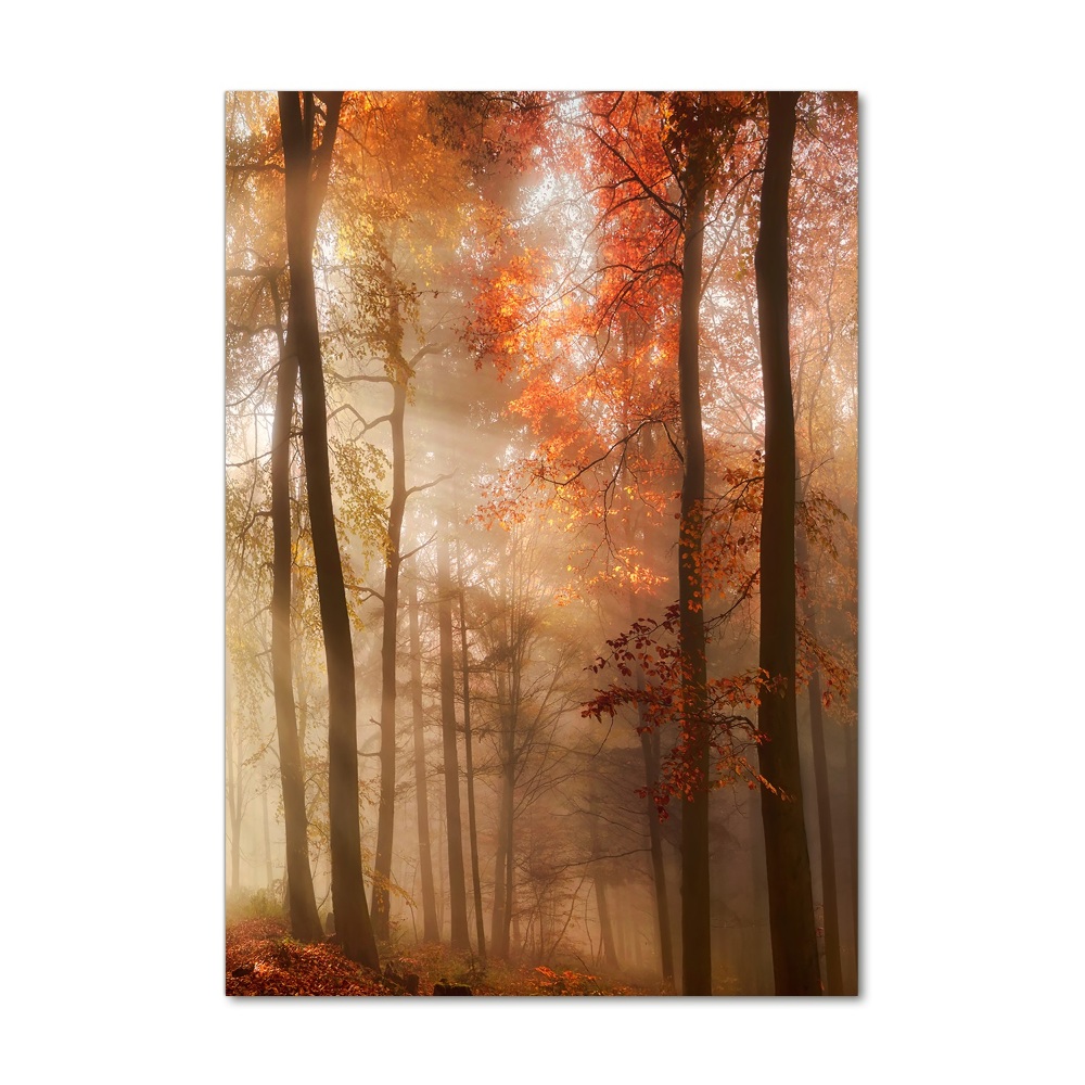 Print on acrylic Forest in autumn