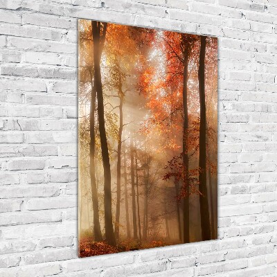 Print on acrylic Forest in autumn