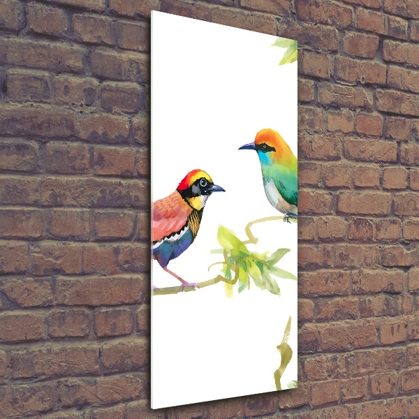 Wall art acrylic Birds