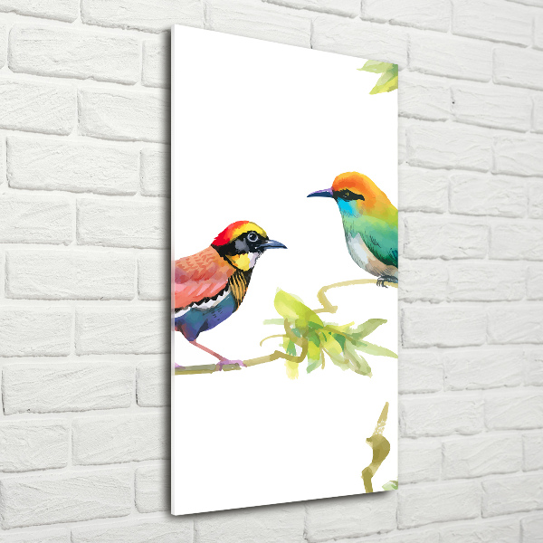 Wall art acrylic Birds