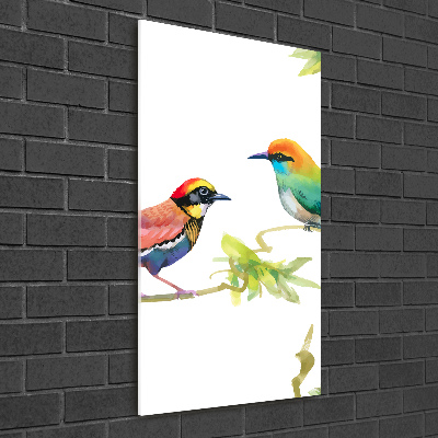 Wall art acrylic Birds