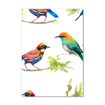 Wall art acrylic Birds