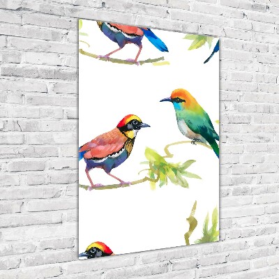 Wall art acrylic Birds