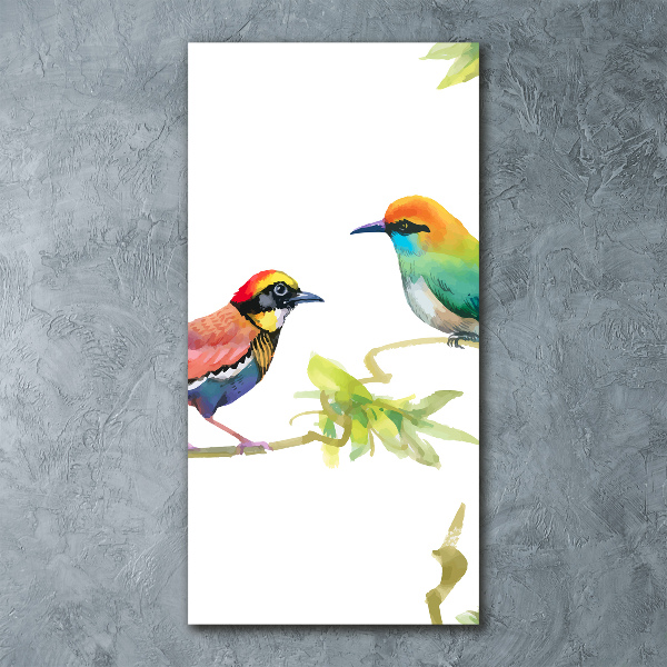 Wall art acrylic Birds