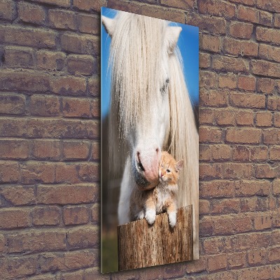 Print on acrylic White horse with a cat