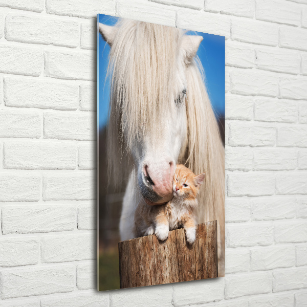 Print on acrylic White horse with a cat