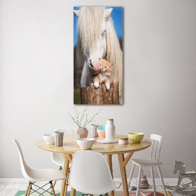 Print on acrylic White horse with a cat