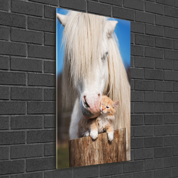 Print on acrylic White horse with a cat