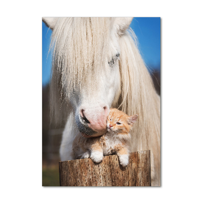 Print on acrylic White horse with a cat