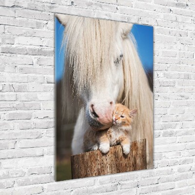 Print on acrylic White horse with a cat