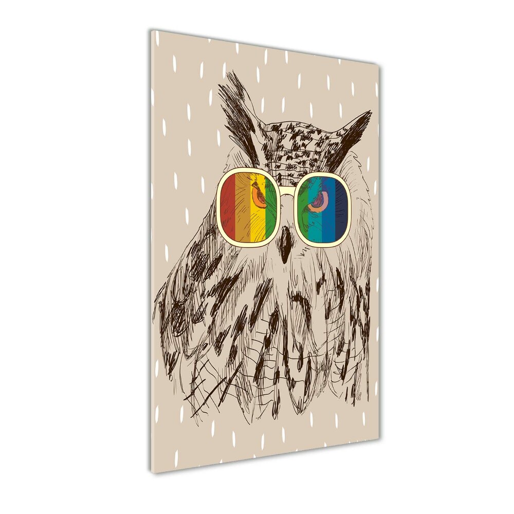 Acrylic wall art Owls with glasses