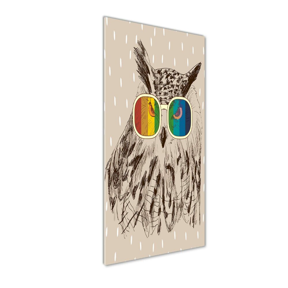 Acrylic wall art Owls with glasses