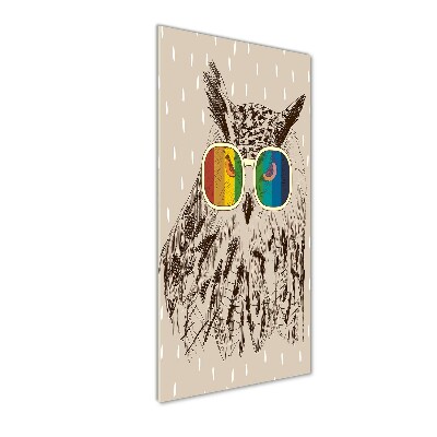 Acrylic wall art Owls with glasses