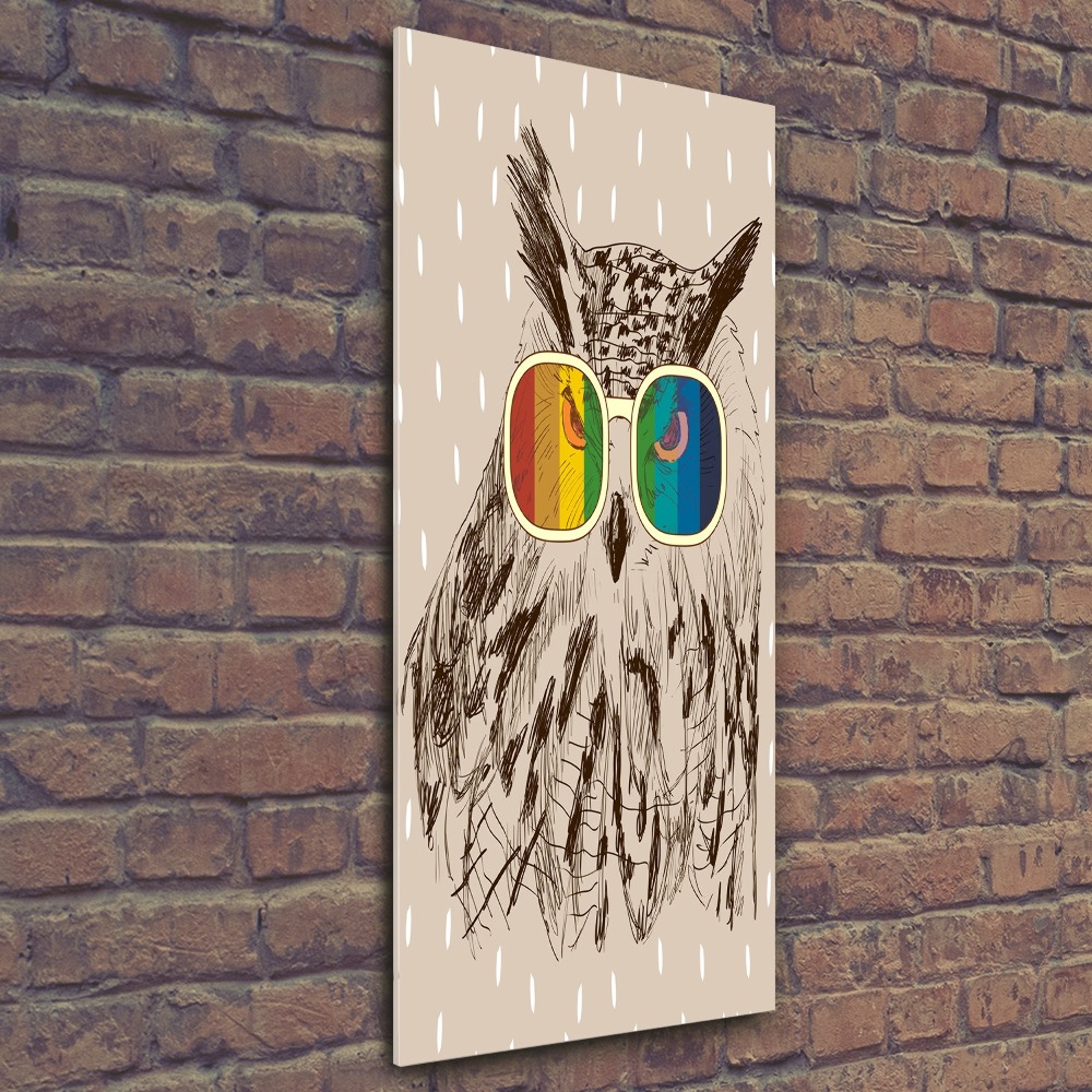 Acrylic wall art Owls with glasses