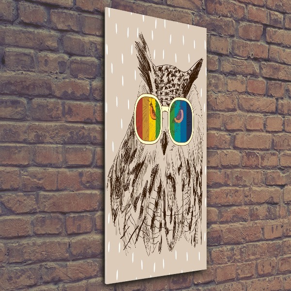 Acrylic wall art Owls with glasses