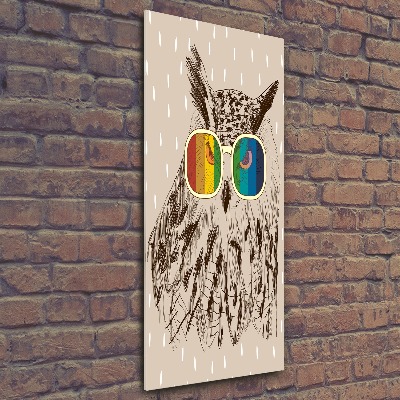 Acrylic wall art Owls with glasses