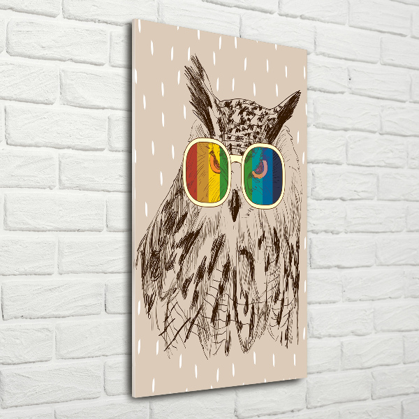 Acrylic wall art Owls with glasses