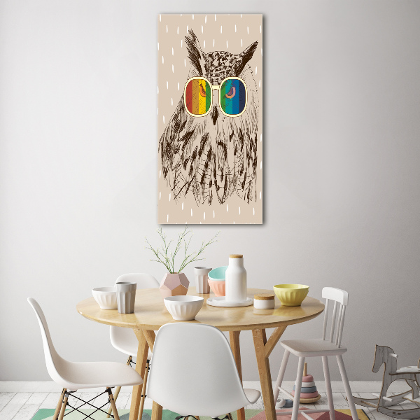 Acrylic wall art Owls with glasses