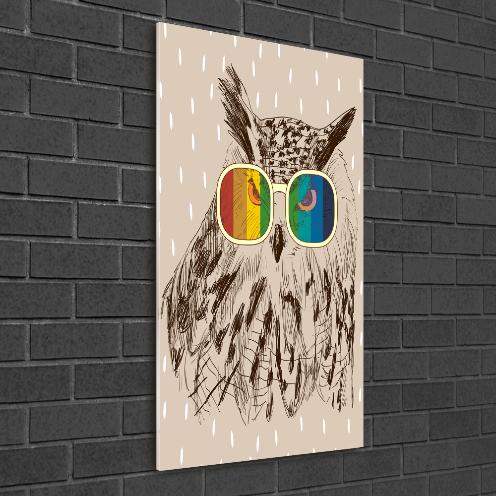 Acrylic wall art Owls with glasses