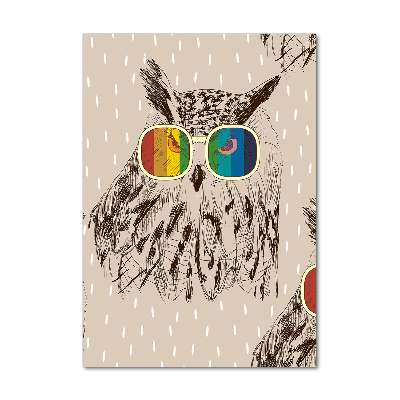 Acrylic wall art Owls with glasses