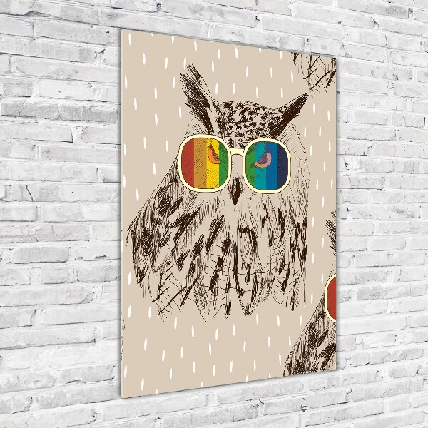 Acrylic wall art Owls with glasses