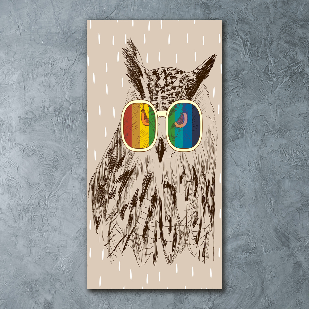 Acrylic wall art Owls with glasses