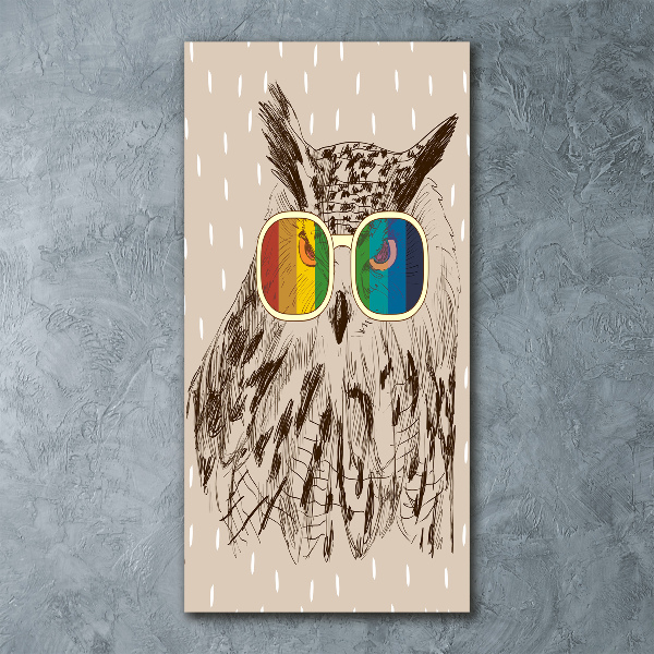 Acrylic wall art Owls with glasses