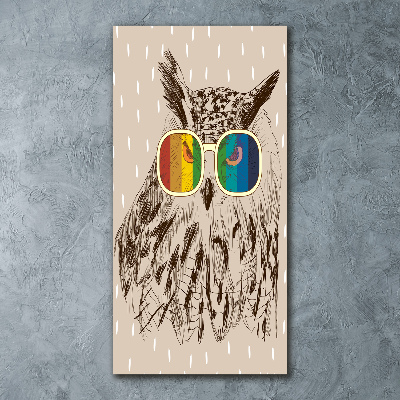 Acrylic wall art Owls with glasses