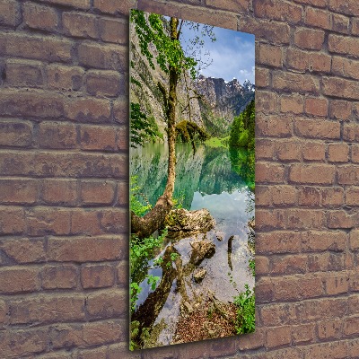 Wall art acrylic Lake in the mountains