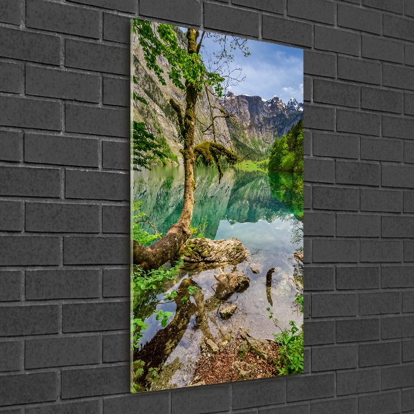 Wall art acrylic Lake in the mountains