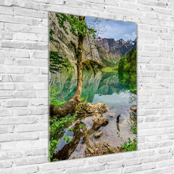 Wall art acrylic Lake in the mountains