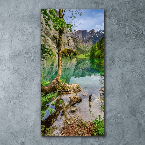 Wall art acrylic Lake in the mountains