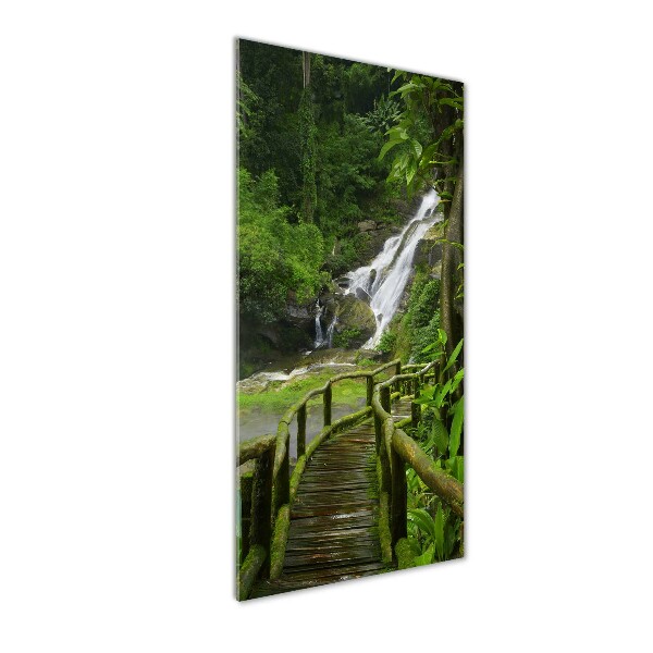 Wall art acrylic Path in the jungle